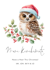 5 x 7" morepork (ruru owl) card Meri Kirihimete: CH-33 New Zealand Christmas Card Bundle
