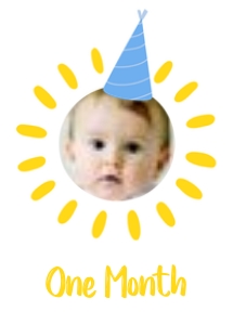 First Trip Around the Sun 12 Month Banner 5x7: 1709205696