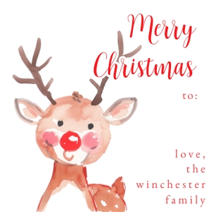Christmas Gift Tag - Boy Reindeer 3 x 3 in: Christmas Gift Tag - Boy Reindeer 3 x 3 in