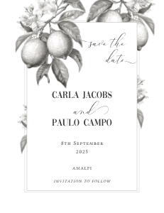 Lemon Grove - Wedding Save the Date - VistaPrint - 4 x 5.5 in / 10.7 x 13.9cm: OLD - Lemon Grove - Wedding Save the Date
