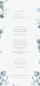 Breath Between - DL (ISO) Wedding Menu - 9.9 x 21 cm: Breath Between - Tea Length Wedding Menu