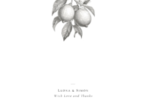 La Scorza - VistaPrint Wedding Correspondence Thank You: La Scorza - Thank You Card - Flat