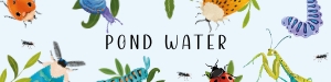 Water Bottle Label: 8"x2" - Bug Bash: Bug Bash Collection Bundle
