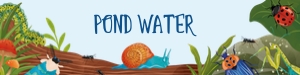 Water Bottle Label - Picnic Bugs: Picnic Bugs Collection Bundle