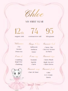 Milestone Sign – 18x24in: Claris First Birthday Bundle
