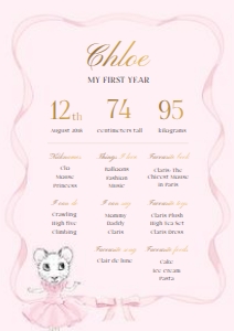 Milestone Sign – A2: Claris First Birthday Bundle
