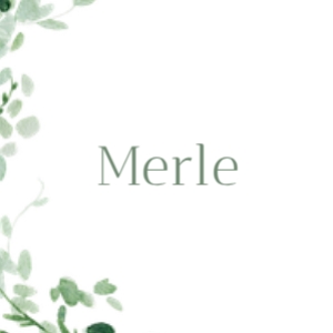 Merle Konfirmation Bordkort design preview