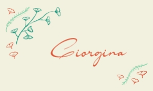 Flat Place card 10X6CM F04: Hand drawn ginkgo leaf frame Place Card template Escort card