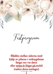 Festprogram Litet BR001 design preview