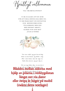 Inlaga Festprogram Litet BR001 design preview