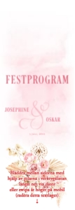 Festprogram Långt BR011 design preview