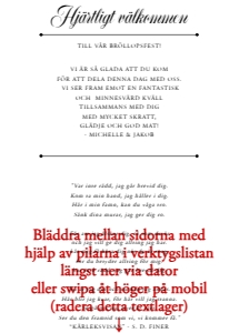 Inlaga Festprogram Litet BR003 design preview