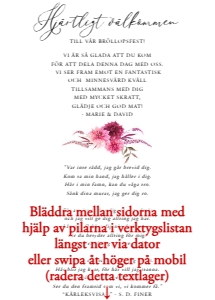 Inlaga Festprogram Litet BR002 design preview