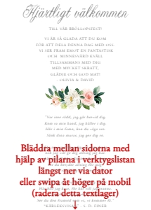 Inlaga Festprogram Litet BR009 design preview