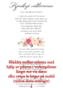 Inlaga Festprogram Litet BR006 design preview