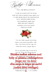 Inlaga Festprogram Litet BR010 design preview