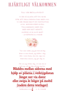 Inlaga Festprogram Litet BR011 design preview