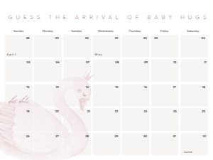 DUE DATE SWAN: BABY SHOWER BUNDLE_PINK SWAN