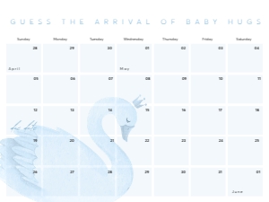 Blue Swan Due Date: BABY SHOWER BUNDLE_BLUE SWAN