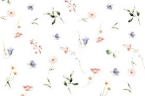 Lola Vellum: Lola Invitation