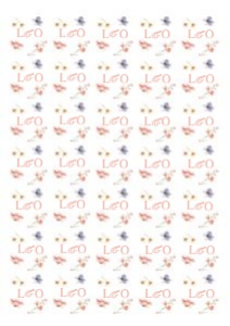 Lola Envelope Seals: Lola Invitation