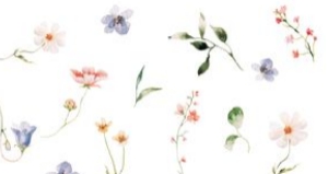 Lola Parcel Envelope Liner: Lola Invitation