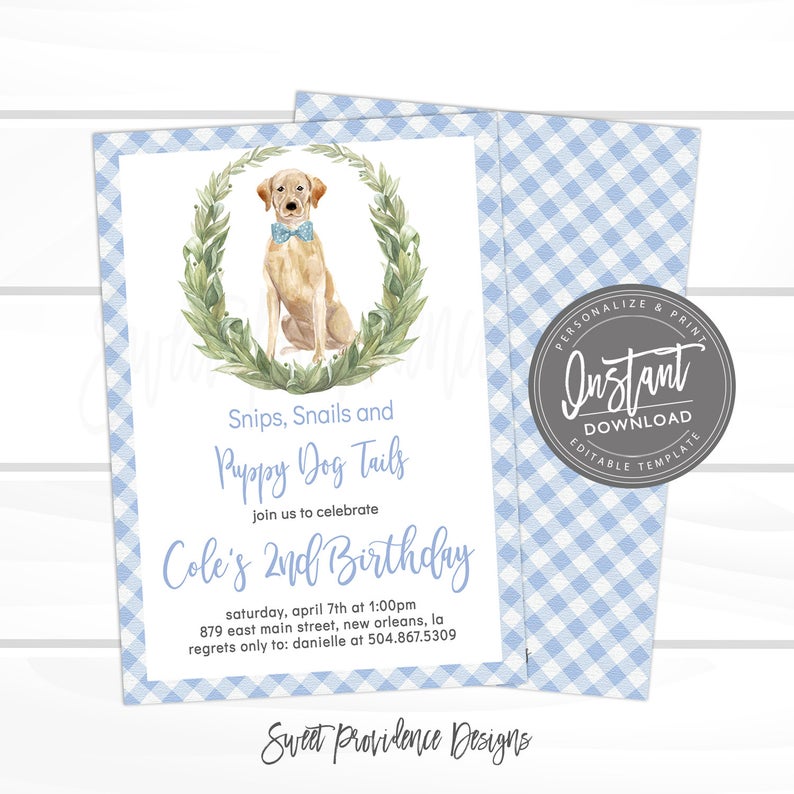 Dog Birthday Invitation, Snips Snails Invitation, Editable Birthday invite, Blue Boy Gingham Dog Invitation, Lab Puppy Dog, Instant Access